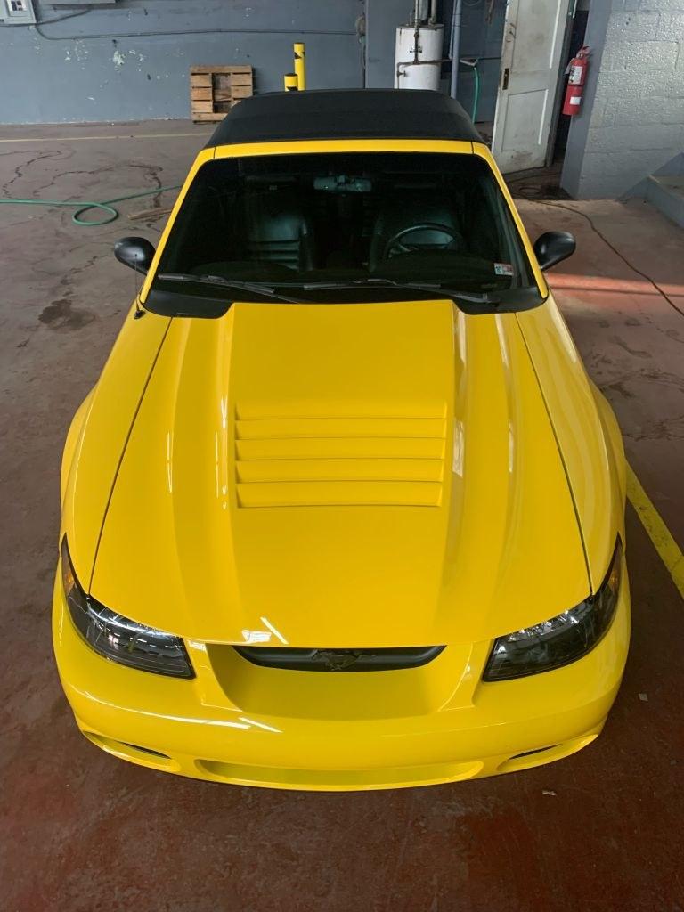 1999 YELLOW FORD MUSTANG GT (1FAFP45X2XF) with an 4.6L engine, 4-Speed Manual transmission, located at 2514 Williamson Rd NE, Roanoke, VA, 24012, (540) 265-7770, 37.294636, -79.936249 - **** CASH ONLY PRICE IS $17000 (NOT INCLUDING SALES TAX, TAGS, TITLING AND PROCESSING FEE) **** ************VEHICLE SHOWN BY APPOINTMENT ONLY********************** This beautiful, well maintained convertible show car is equipped with Kenny Bell Supercharged 4.6 L engine- Photo#11