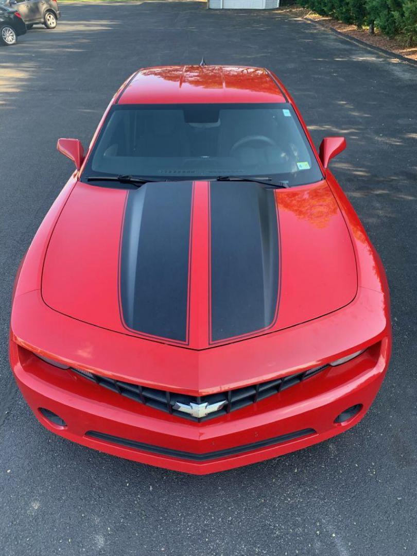 2011 RED CHEVROLET CAMARO LS (2G1FA1ED1B9) with an 3.6L engine, Automatic transmission, located at 2514 Williamson Rd NE, Roanoke, VA, 24012, (540) 265-7770, 37.294636, -79.936249 - Photo#7