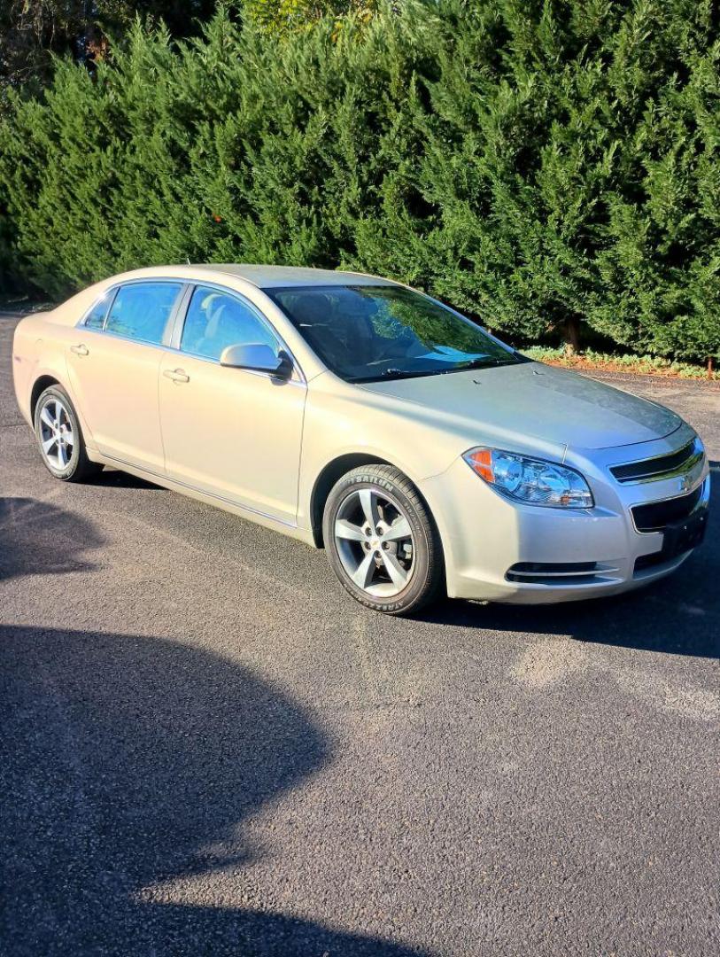 2011 GOLD CHEVROLET MALIBU 1LT (1G1ZC5E10BF) with an 2.4L engine, Automatic transmission, located at 2514 Williamson Rd NE, Roanoke, VA, 24012, (540) 265-7770, 37.294636, -79.936249 - Photo#0