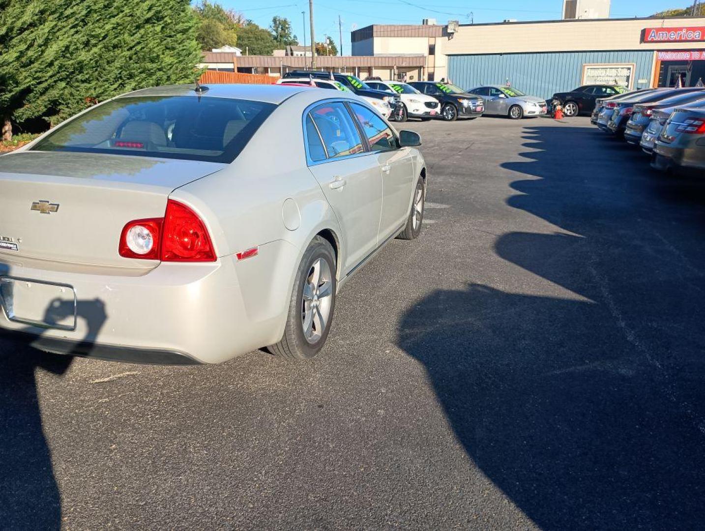 2011 GOLD CHEVROLET MALIBU 1LT (1G1ZC5E10BF) with an 2.4L engine, Automatic transmission, located at 2514 Williamson Rd NE, Roanoke, VA, 24012, (540) 265-7770, 37.294636, -79.936249 - Photo#3