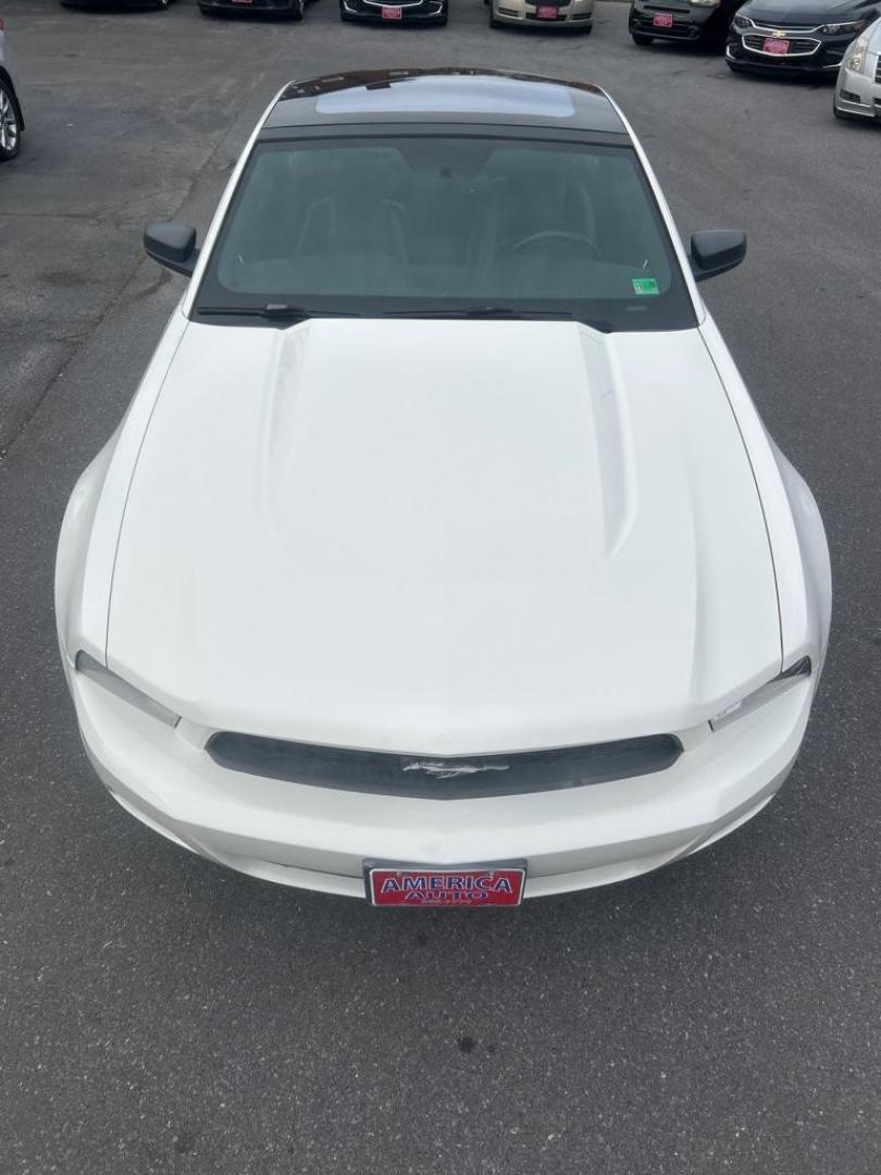 2011 WHITE FORD MUSTANG Premium (1ZVBP8AM9B5) with an 3.7L engine, Automatic transmission, located at 2514 Williamson Rd NE, Roanoke, VA, 24012, (540) 265-7770, 37.294636, -79.936249 - NO CREDIT CHECK FINANCING WITH ONLY $3000 DOWN PAYMENT!!!! Check out our website www.needausedvehicle.com for our No Credit Check/ In House Financing options!! No Credit Check Available!!! In House Financing Available!!! All Clean Title Vehicles (no Salvaged or flooded vehicles ever on our lot)! - Photo#8