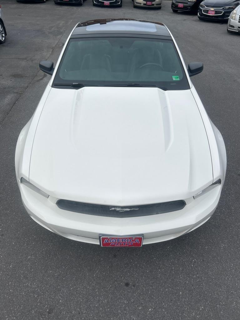 2011 WHITE FORD MUSTANG Premium (1ZVBP8AM9B5) with an 3.7L engine, Automatic transmission, located at 2514 Williamson Rd NE, Roanoke, VA, 24012, (540) 265-7770, 37.294636, -79.936249 - NO CREDIT CHECK FINANCING WITH ONLY $3000 DOWN PAYMENT!!!! Check out our website www.needausedvehicle.com for our No Credit Check/ In House Financing options!! No Credit Check Available!!! In House Financing Available!!! All Clean Title Vehicles (no Salvaged or flooded vehicles ever on our lot)! - Photo#8